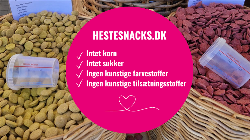 Mød os, HESTESNACKS.DK, på Store Hestedag 6. - 7. september 2025- Stand nr. 289
Vi har mange forskellige slags smagsvarianter med, så du kan blande de bolsjer din hest bedst kan lide.