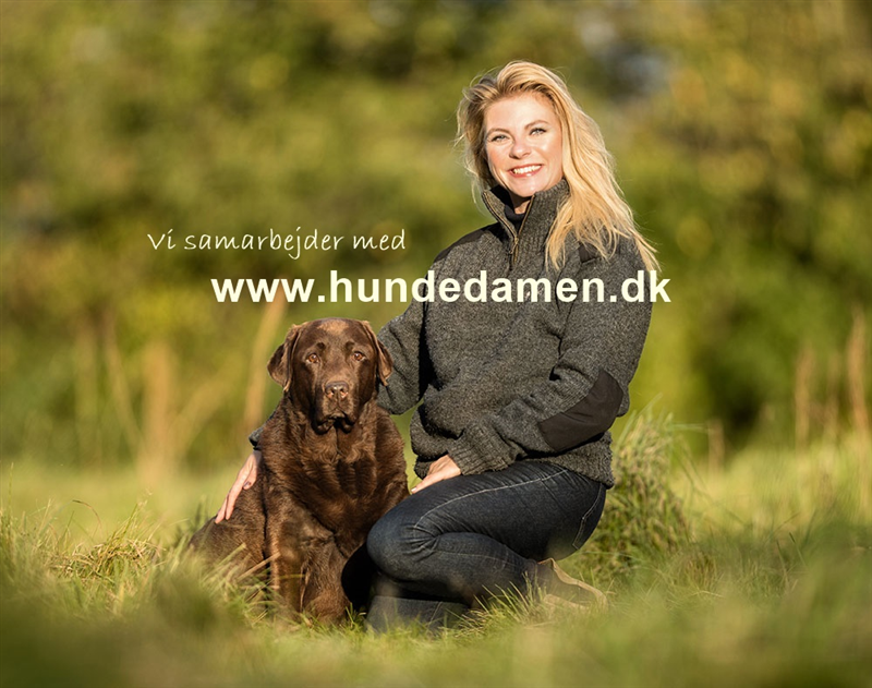 Kender du mon Hundedamen?
Vi har indgået et nyt samarbejde med Christin Pfeiffer / Hundedamen, som er professionel hundeinstruktør.
Her i butikken har vi en hel del hundekunder, og derfor syntes vi, at det ville være en rigtig god ide at få lavet en masse aktivitet for jer hundefolk og jeres skønne hunde.
Når det hele igen åbner mere op, så er det planen, at vi sammen med Christin vil afholde kurser, foredrag m.m.
Vi vil løbende lægge små videoer/ - gode råd op på vores Facebookside - GLS Foder.
Du kan allerede nu følge Christin på Facebooksiden - Hundedamen på www.hundedamen.dk og på Instagram - hundedamen